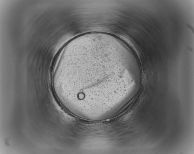 X0000102340999200808221627