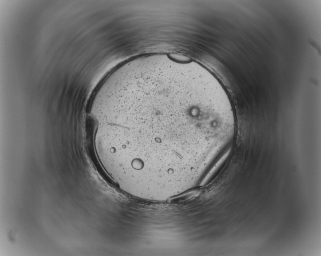 X0000102341000200808221627