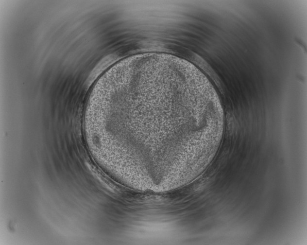 X0000102341002200808221627