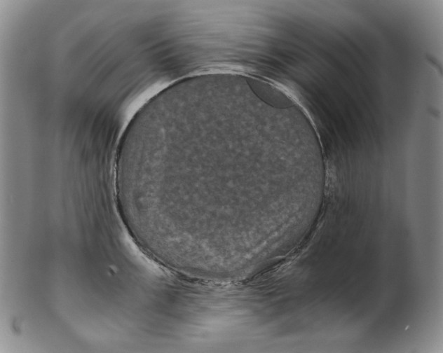 X0000102341003200808221627