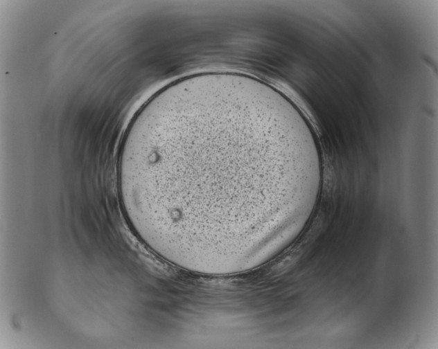 X0000102341004200808221627