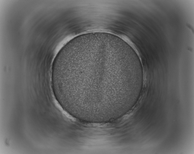 X0000102341005200808221627