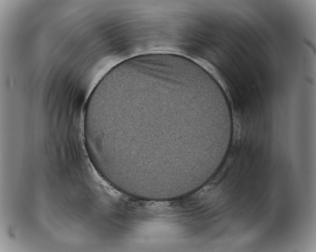 X0000102341006200808221627