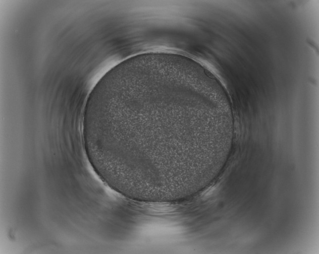 X0000102341007200808221626