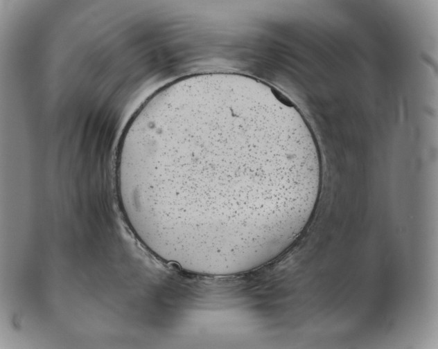 X0000102341008200808221626