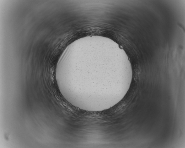 X0000102341010200808221626