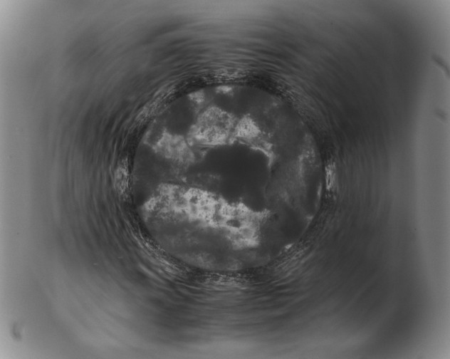 X0000102341011200808221626