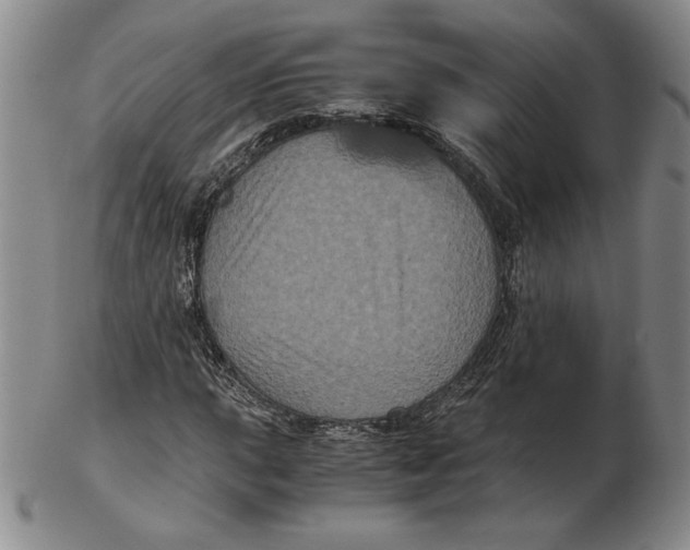 X0000102341015200808221626