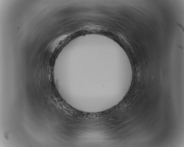 X0000102341016200808221626