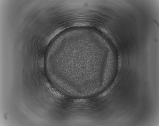 X0000102341017200808221626