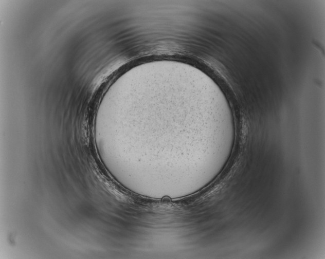 X0000102341018200808221626