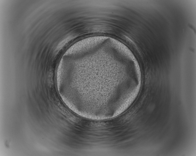 X0000102341019200808221626