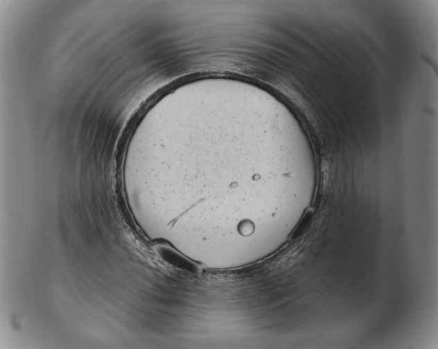 X0000102341020200808221626