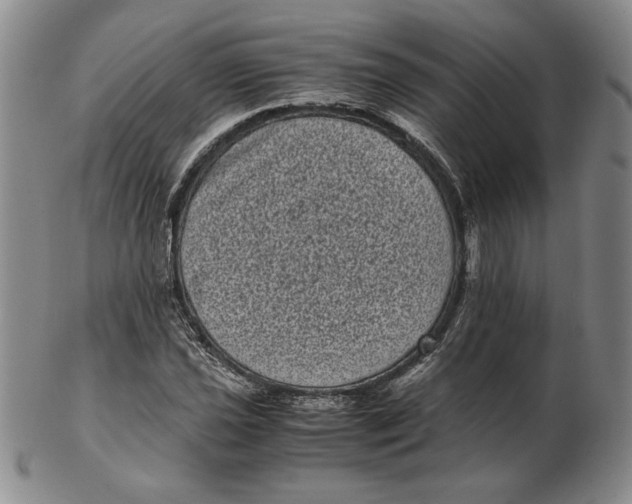 X0000102341021200808221626