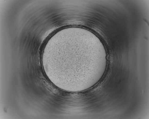 X0000102341022200808221626