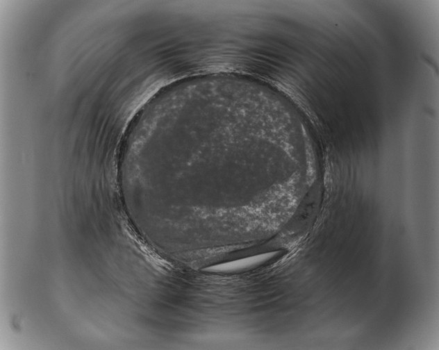 X0000102341023200808221626