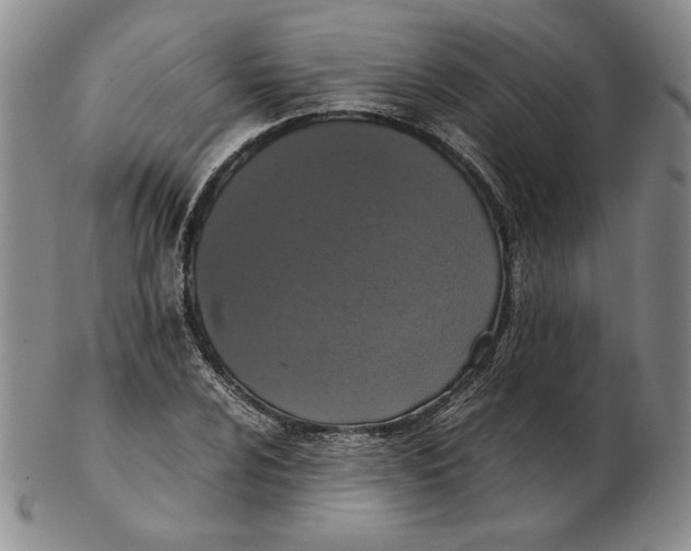 X0000102341024200808221626