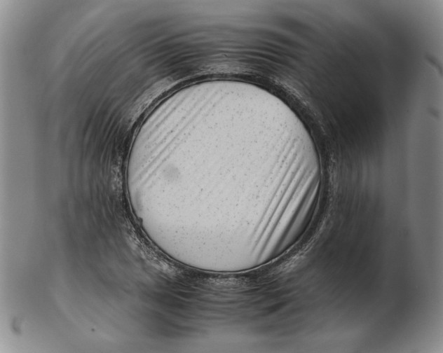 X0000102341025200808221626