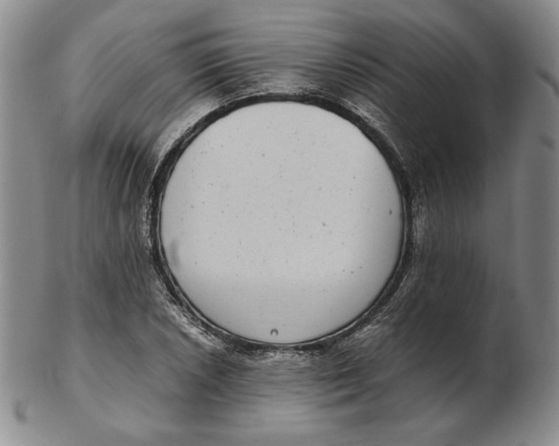 X0000102341026200808221626