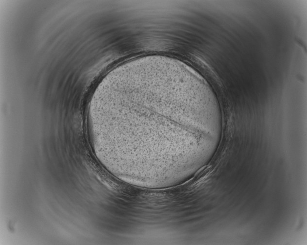 X0000102341027200808221626