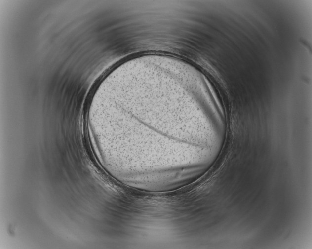 X0000102341028200808221626