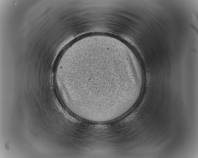 X0000102341029200808221626