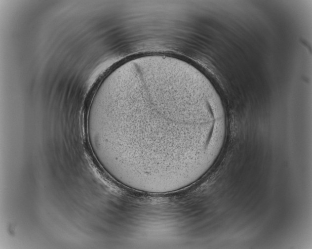 X0000102341030200808221626