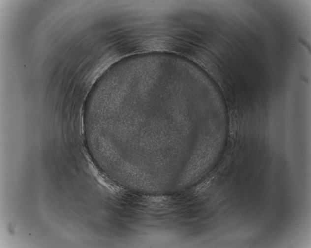 X0000102341031200808221626