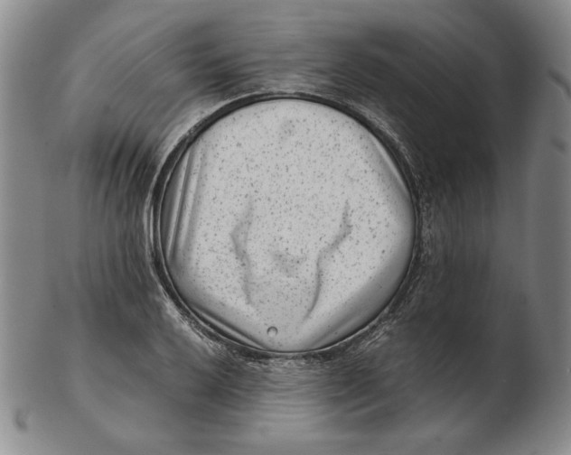 X0000102341032200808221626