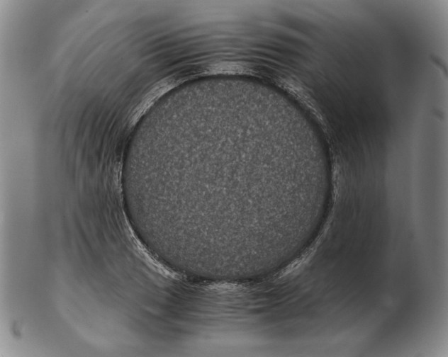 X0000102341033200808221626