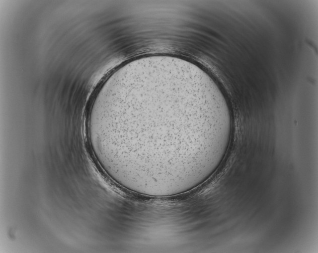 X0000102341034200808221626