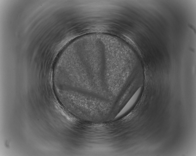 X0000102341035200808221626