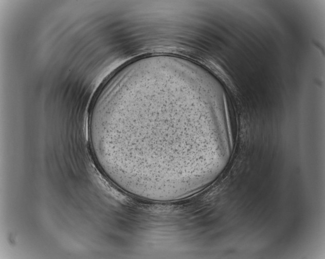 X0000102341036200808221626