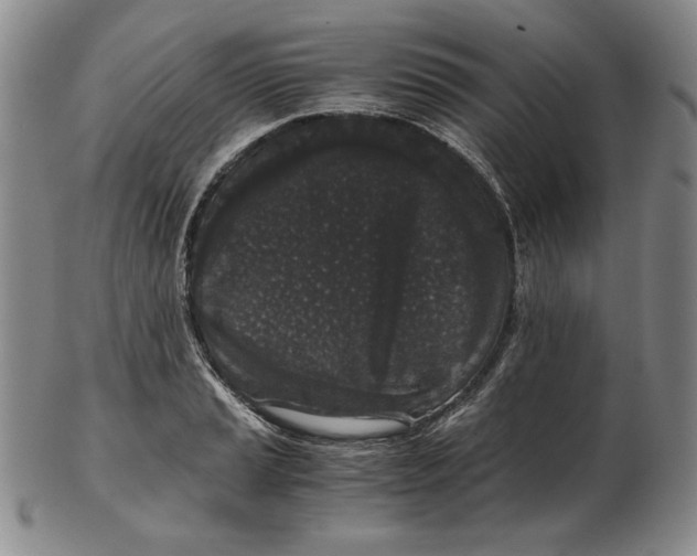 X0000102341037200808221626