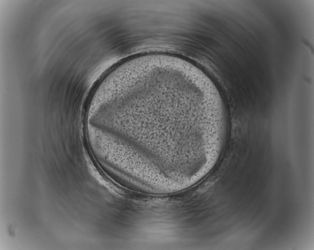 X0000102341038200808221626