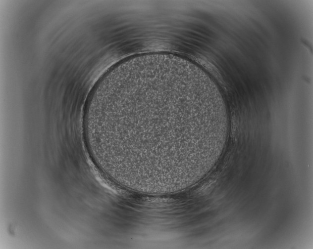 X0000102341039200808221626