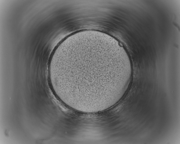 X0000102341040200808221626