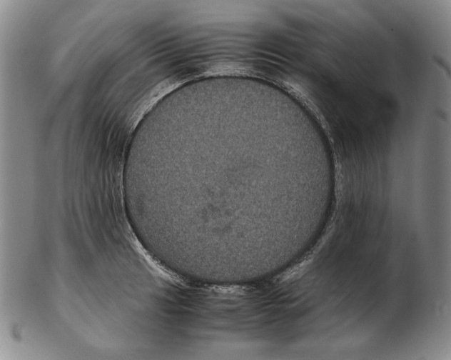 X0000102341041200808221626