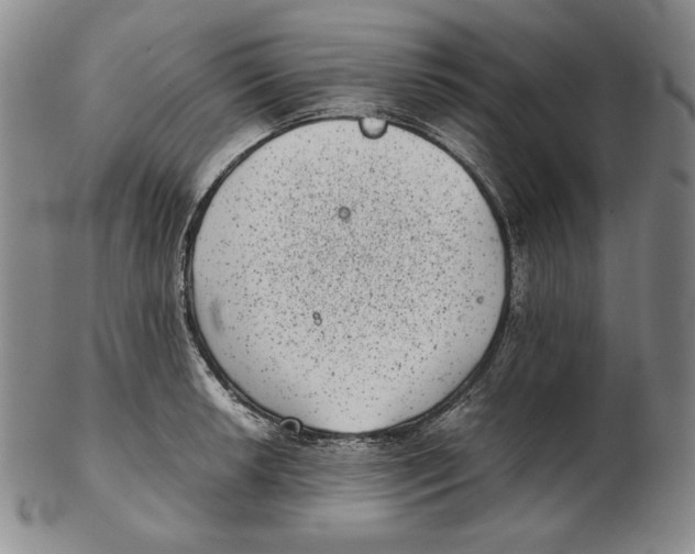 X0000102341042200808221626