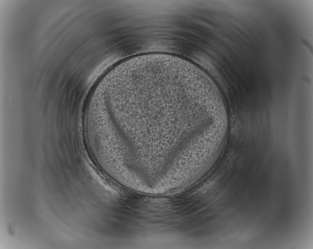 X0000102341043200808221626