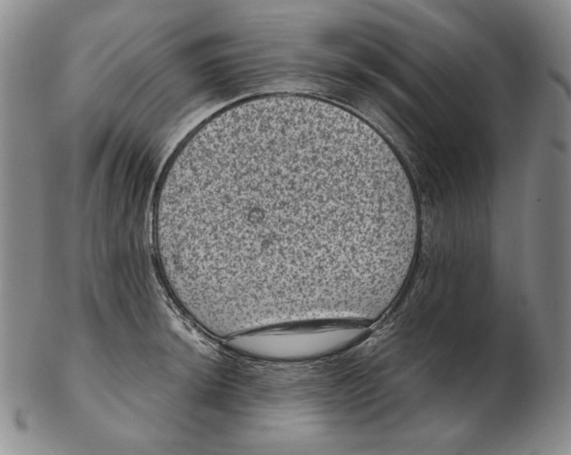 X0000102341044200808221626