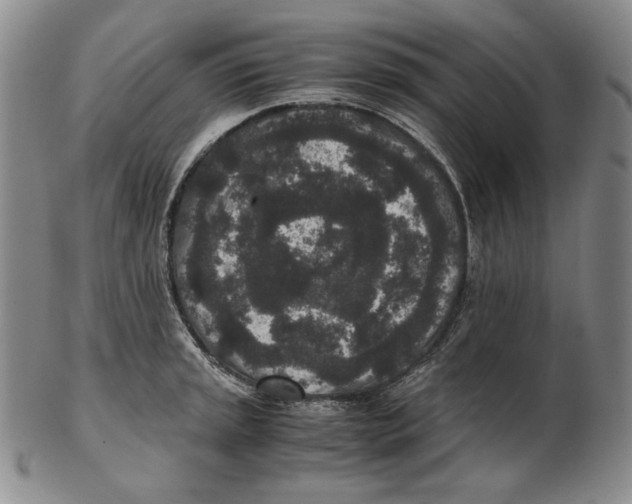 X0000102341045200808221626