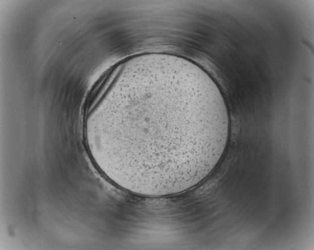 X0000102341046200808221626