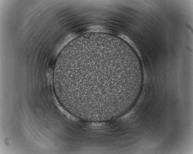 X0000102341049200808221626