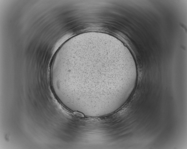 X0000102341050200808221626