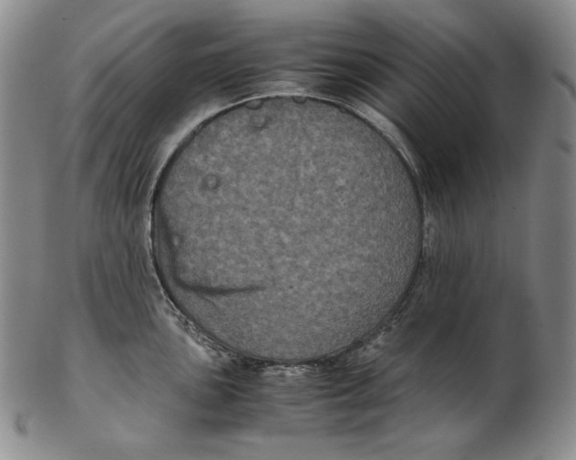 X0000102341051200808221626