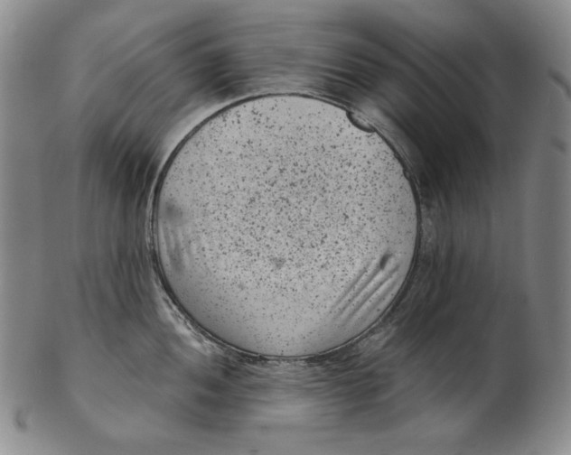 X0000102341052200808221626