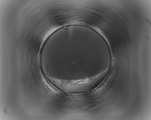 X0000102341053200808221626