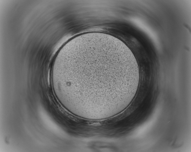 X0000102341054200808221626