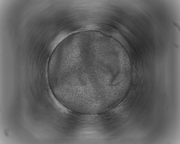 X0000102341055200808221626